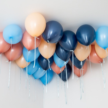 Воздушные шары под потолок "Бинго и Блуи"