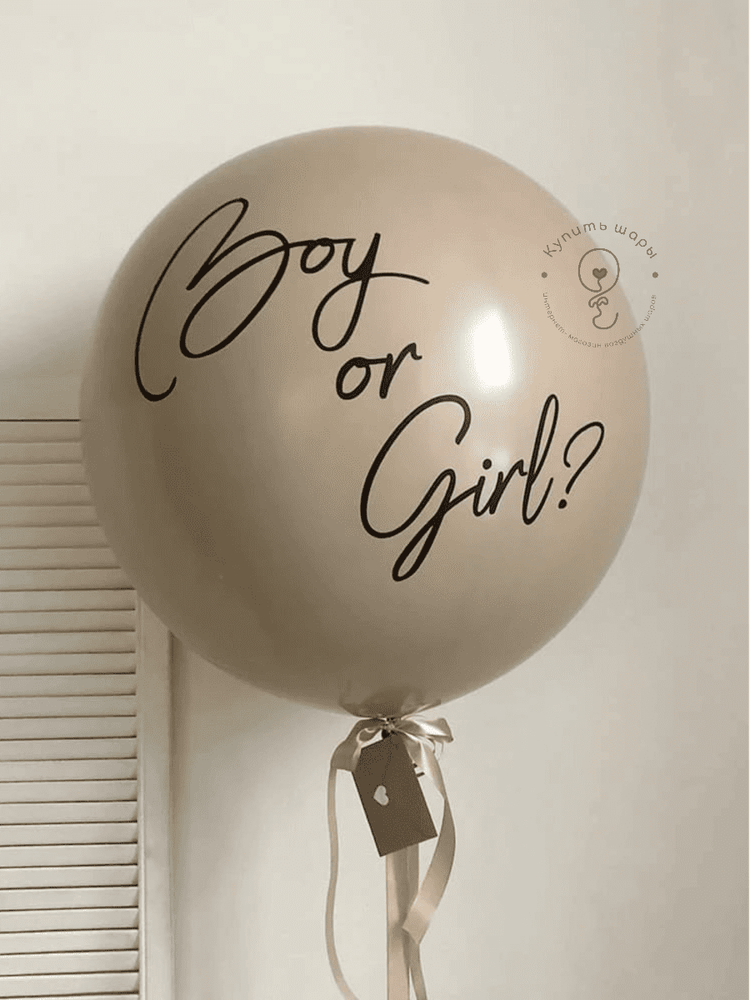 Большой воздушный шар &quot;Boy or Girl&quot;